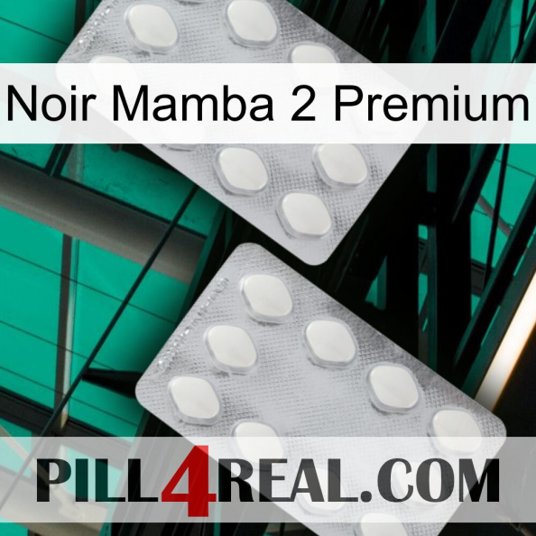 Black Mamba 2 Premium 17